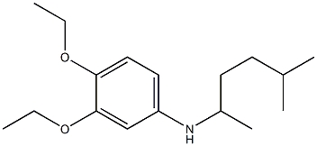 3,4-diethoxy-N-(5-methylhexan-2-yl)aniline Struktur