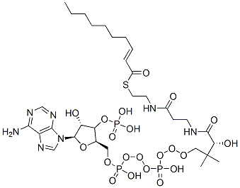 (E)-2-デセノイル-CoA