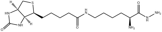BIOCYTIN HYDRAZIDE HYDROCHLORIDE