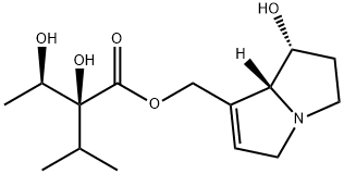 INTERMEDINE Struktur