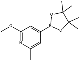 2-Methoxy-6-methyl-4-(4,4,5,5-tetramethyl-1,3,2-dioxaborolan-2-yl)pyridine