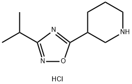 3-(3-isopropyl-1,2,4-oxadiazol-5-yl)piperidine hydrochloride price.