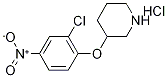 3-(2-Chloro-4-nitrophenoxy)piperidinehydrochloride Struktur