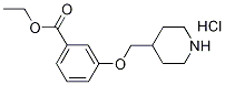 Ethyl 3-(4-piperidinylmethoxy)benzoatehydrochloride Struktur