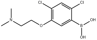 2,4-Dichloro-5-(2-(dimethylamino)ethoxy)phenylboronic acid Structure
