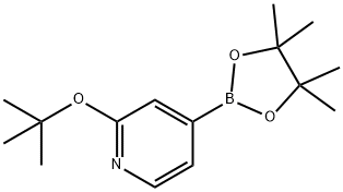 2-tert-butoxy-4-(4,4,5,5-tetramethyl-1,3,2-dioxaborolan-2-yl)pyridine