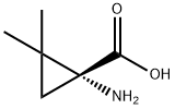 (R)-1-AMINO-2,2-DIMETHYLCYCLOPROPANECARBOXYLIC ACID Struktur