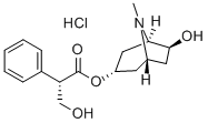 RaceAnisodamine|消旋山莨菪堿