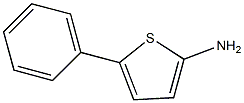 2-ThiophenaMine, 5-phenyl-