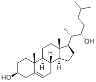 22(R)-hydroxy Cholesterol