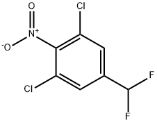 3,5-Dichloro-4-nitrobenzodifluoride|