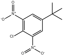 2-氯-5-叔丁基-1,3-二硝基苯 結(jié)構(gòu)式