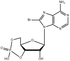 Article illustration