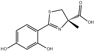 239101-33-8 Structure