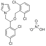 24168-96-5 Structure