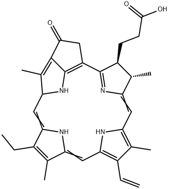 Article illustration