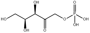 xylulose-1-phosphate Struktur