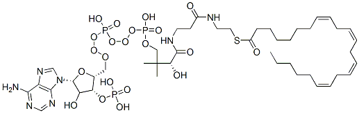 S-[2-[3-[[(2R)-4-[[[(2R,3R,5R)-5-(6-aminopurin-9-yl)-4-hydroxy-3-phosphonooxyoxolan-2-yl]methoxy-hydroxyphosphoryl]oxy-hydroxyphosphoryl]oxy-2-hydroxy-3,3-dimethylbutanoyl]amino]propanoylamino]ethyl] (8Z,11Z,14Z,17Z)-tricosa-8,11,14,17-tetraenethioate