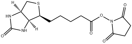 (+)生物素-N-琥珀酰亞胺基酯