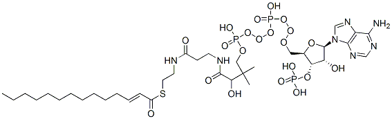 S-[2-[3-[[4-[[[(2R,3S,4R,5R)-5-(6-aminopurin-9-yl)-4-hydroxy-3-phosphonooxyoxolan-2-yl]methoxy-hydroxyphosphoryl]oxy-hydroxyphosphoryl]oxy-2-hydroxy-3,3-dimethylbutanoyl]amino]propanoylamino]ethyl] (E)-tetradec-2-enethioate