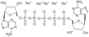 A[5']P5[5']A SODIUM SALT|P<sup>1</sup>,P<sup>5</sup>-二(腺苷5′)五磷酸五鈉鹽