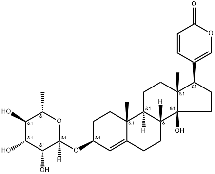 Article illustration