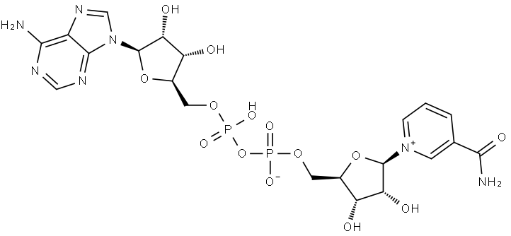 53-84-9 Structure