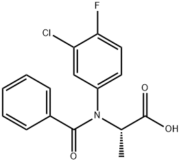 FLAMPROP Structure