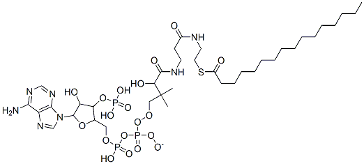 [5-(6-aminopurin-9-yl)-4-hydroxy-3-phosphonooxyoxolan-2-yl]methyl [[4-[[3-(2-hexadecanoylsulfanylethylamino)-3-oxopropyl]amino]-3-hydroxy-2,2-dimethyl-4-oxobutoxy]-oxidophosphoryl] phosphate