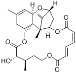 VERRUCARINK Structure