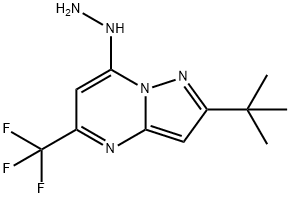 2-(TERT-BUTYL)-7-HYDRAZINO-5-(????????)????[1,5-A]????