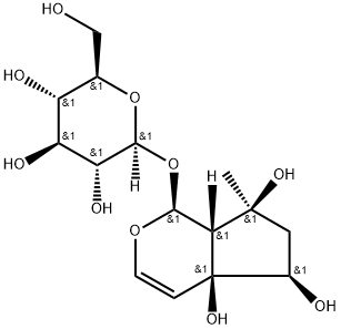 Article illustration