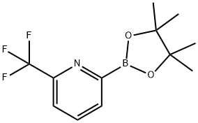 6-(TRIFLUOROMETHYL)PYRIDINE-2-BORONIC ACID PINACOL ESTER