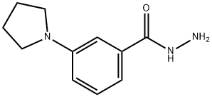 3-(1-Pyrrolidinyl)benzoic Acid Hydrazide  Struktur