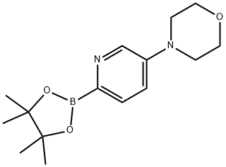 4-(6-(4,4,5,5-tetraMethyl-1,3,2-dioxaborolan-2-yl)pyridin-3-yl)Morpholine
