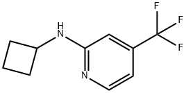Cyclobutyl-(4-trifluoromethyl-pyridin-2-yl)-amine Struktur