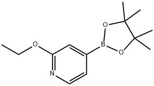 PYRIDINE, 2-ETHOXY-4-(4,4,5,5-TETRAMETHYL-1,3,2-DIOXABOROLAN-2-YL)-