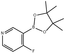 4-fluoro-3-(4,4,5,5-tetramethyl-1,3,2-dioxaborolan-2-yl)pyridine