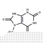 7-Methyluric Acid