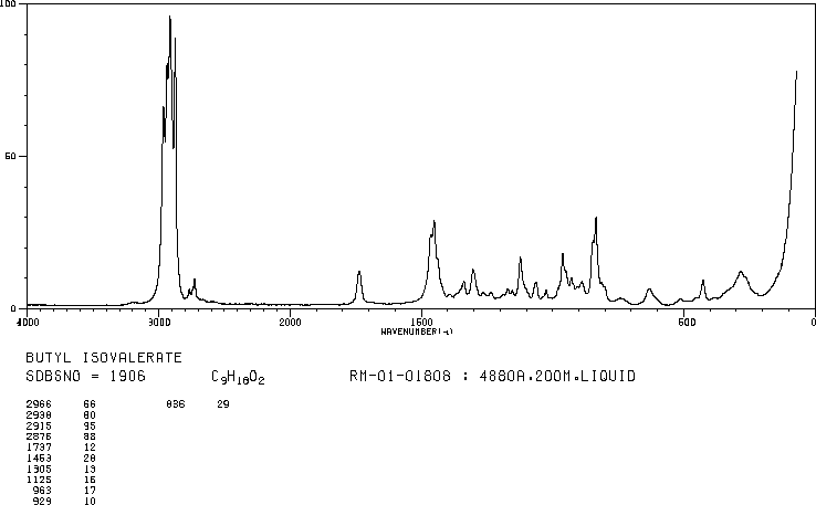 Butyl isovalerate(109-19-3) IR2