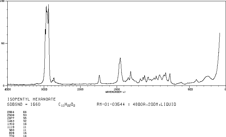 ISOAMYL HEXANOATE(2198-61-0) <sup>13</sup>C NMR