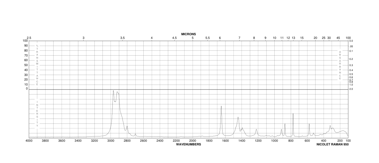 N'-TERT-BUTYL-N,N-DIMETHYLFORMAMIDINE(23314-06-9) Raman