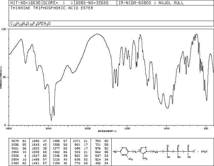 Thiamine Triphosphate(3475-65-8) IR2