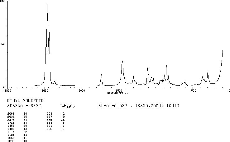 Ethyl valerate(539-82-2) <sup>1</sup>H NMR