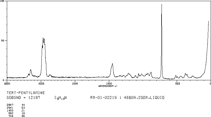 TERT-AMYLAMINE(594-39-8) <sup>13</sup>C NMR