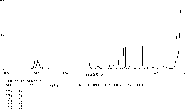 tert-Butylbenzene(98-06-6) IR2