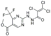 METHYL 2-[2-(2,3,3-TRICHLOROACRYLOYL)HYDRAZINO]-4-(TRIFLUOROMETHYL)PYRIMIDINE-5-CARBOXYLATE Structure