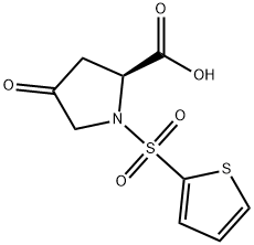 4-OXO-1-(2-THIENYLSULFONYL)-2-PYRROLIDINECARBOXYLIC ACID Structure