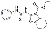 BUTTPARK 123\48-20 Structure