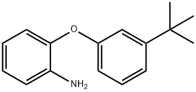 2-[3-(TERT-BUTYL)PHENOXY]ANILINE Struktur